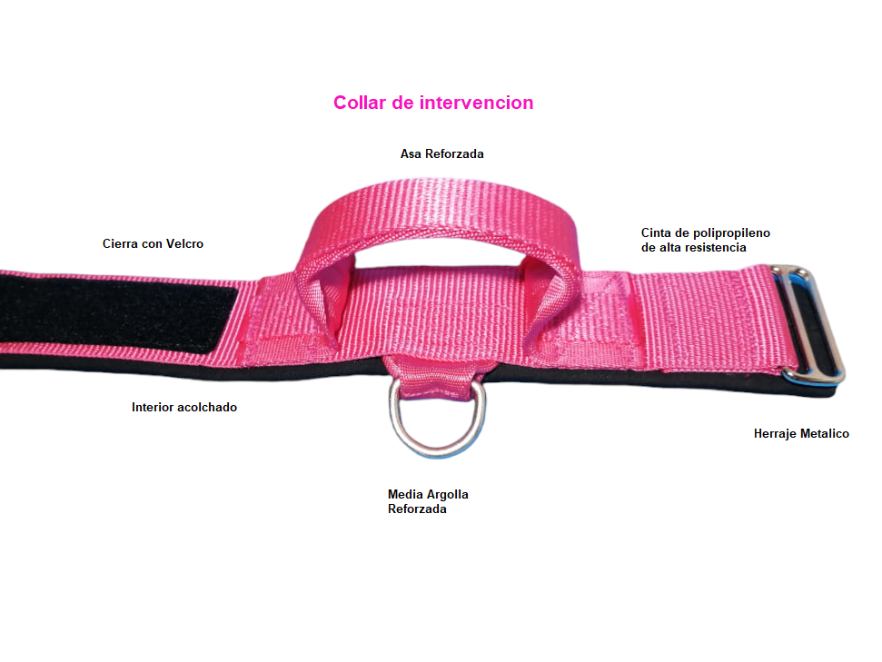 Collar de intervencion